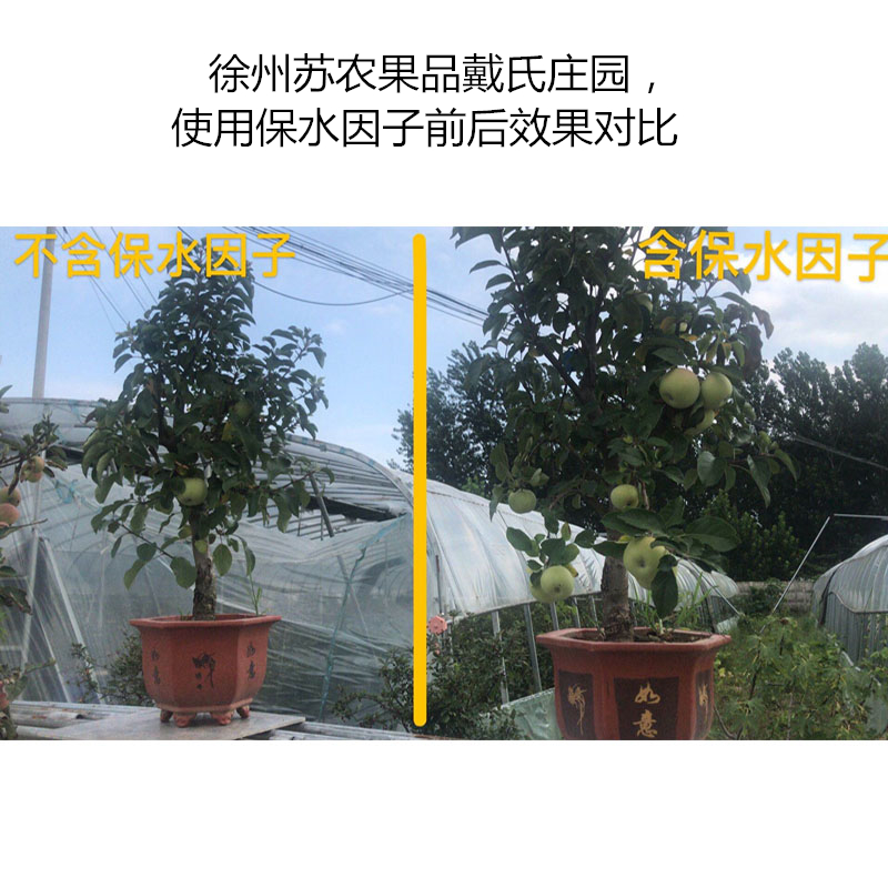 徐州蘇農(nóng)果品戴氏莊園，使用保水因子前后效果對比.jpg